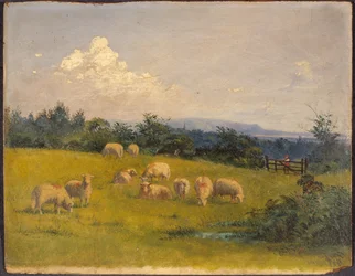 Paysage près de Swansea