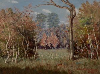 Paysage d