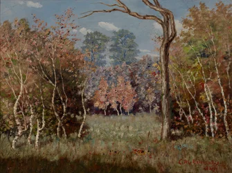 Paysage d