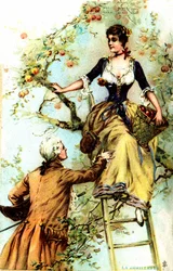 Récolte : Publicité pour le cacao Blooker 1874 (impression)