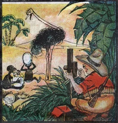 Nestor Fenleroc, Européen photographie une autruche en Afrique. 1923