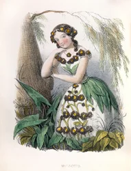 Allegorie , la Myosotis
