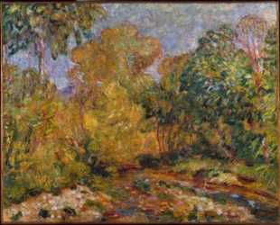 Paysage du Midi