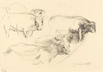 Kühe Vaches, 1910