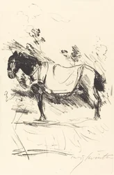 Cheval de selle, 1916