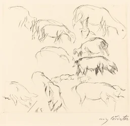 Études Animales, 1917