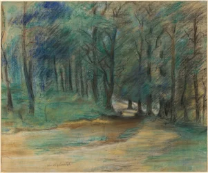 Chemin forestier