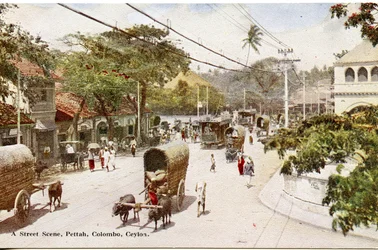 Scène de rue, Pettah, Colombo, Ceylan, vers 1900-20 (photographie colorisée à la main)