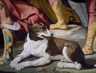 Chien (détail)