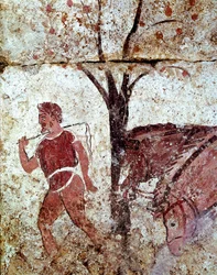 Un paysan conduisant deux chevaux. Fresque lucanienne du IVe siècle av. J.-C., provenant de la nécropole de Paestum, Italie. Museo Nazionale Archeologico, Paestum