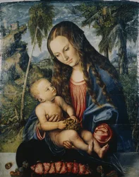 Madone sous le sapin, vers 1510