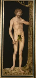 Adam. Face extérieure des ailes d