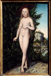 Vénus debout dans un paysage (1529)