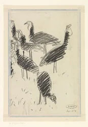 Six oiseaux