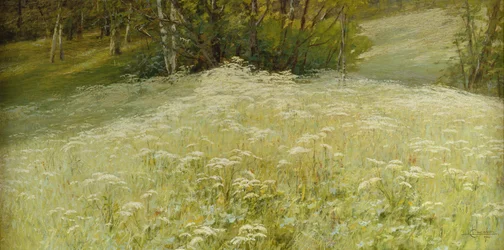 Un pré (huile sur toile)
