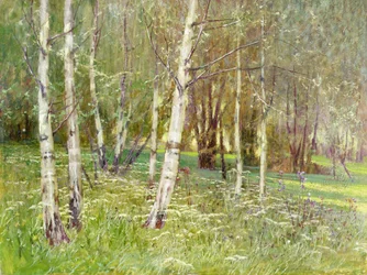 Paysage boisé