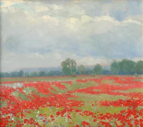 Paysage