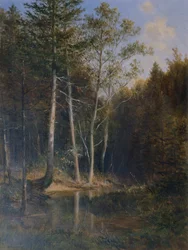Paysage forestier au Gerichtsberg près de Kaumberg