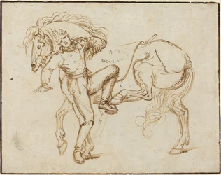 Cavalier montant un cheval