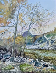 Une rivière paisible en automne