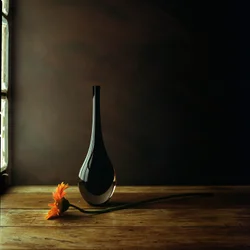 Nature morte élégante avec gerberas dans un vase