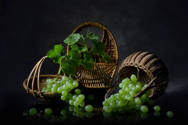 Nature morte abondante aux raisins