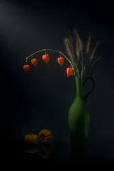 Nature morte automnale à la lanterne