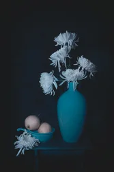 Nature morte apaisante aux tons bleu sarcelle