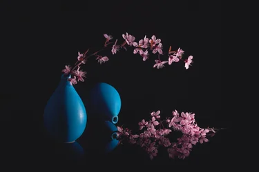 Fleurs de cerisier dans des vases bleus
