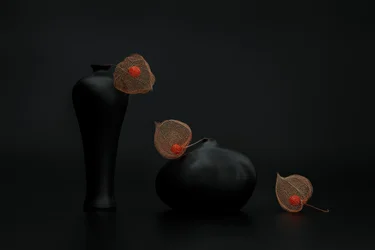 Lampions chinois et vases noirs