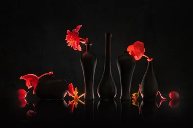Fleurs pourpres et vases noirs