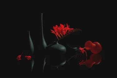 Fleurs pourpres et vases noirs