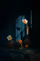 Jonquilles, agrumes et ombres