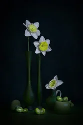 Nature morte aux jonquilles vertes