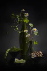 Marguerites et produits frais