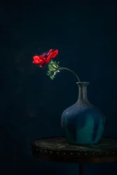 Vase sombre aux anémones