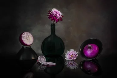 Dahlia noirs et oignons