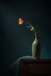 Nature morte florale sombre