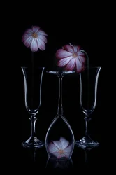 Délicates fleurs et flûtes en verre