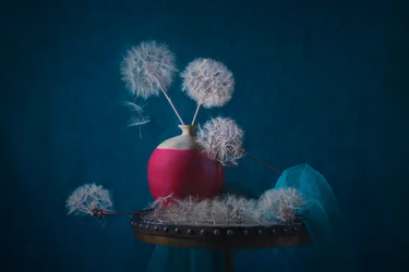 Nature morte onirique aux pissenlits