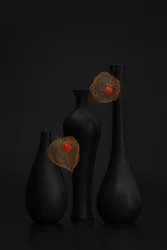 Élégante nature morte de physalis noir