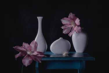 Nature morte florale élégante