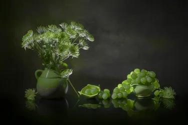 Nature morte verte élégante