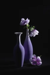 Élégantes anémones violettes