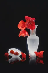 Nature morte rouge élégante