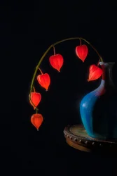 Nature morte aux lanternes lumineuses
