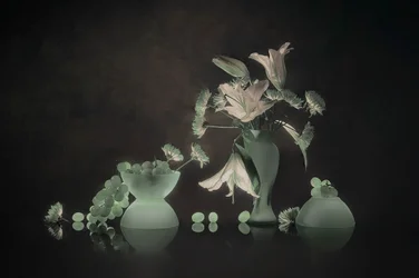 Lys et raisins lumineux