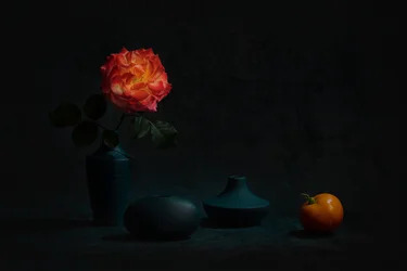 Rose orange éclatante