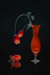 Nature morte aux tulipes lumineuses