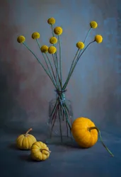 Nature morte automnale dorée